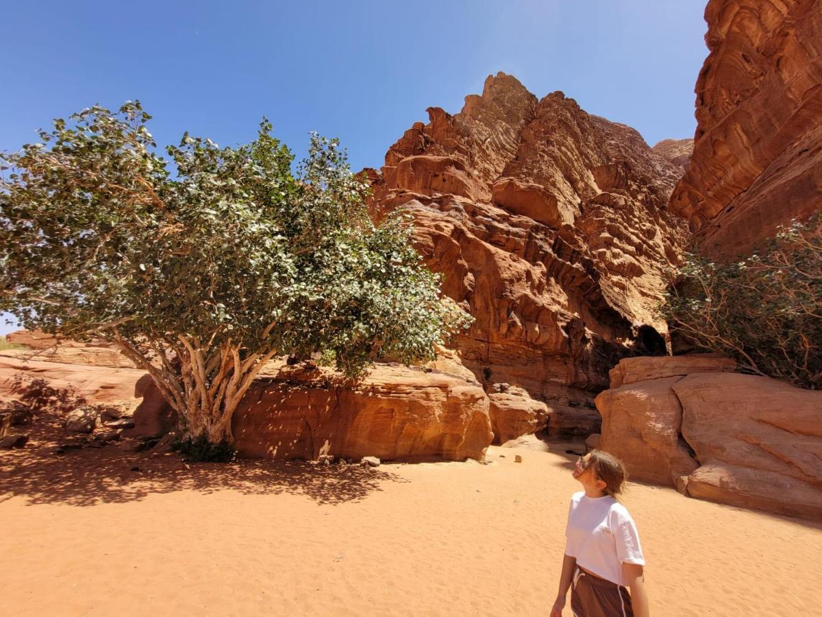 Moon City Camp Bed and Breakfast Wadi Rum Eksteriør billede