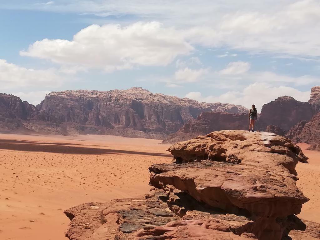 Moon City Camp Bed and Breakfast Wadi Rum Eksteriør billede